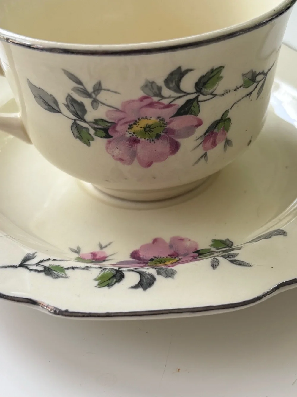 Vintage W.S. George Cream Floral Teacup and Saucer Set with Pink Rose Motif